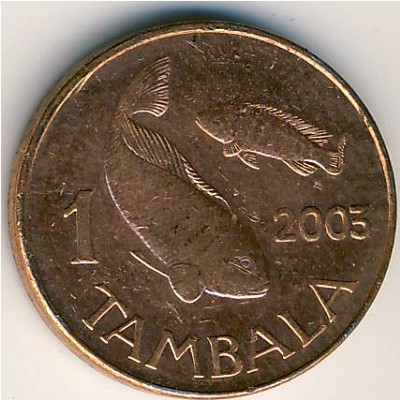 Монеты и банкноты №8 (1 пенс Ирландии, 1 тамбала Малави)