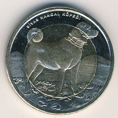 Турция, 1 лира (2010 г.)