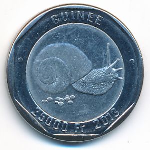 Гвинея, 25000 франков (2013 г.)