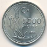 Турция, 5000 лир (1992–1994 г.)