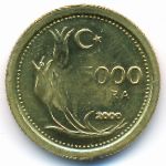 Турция, 5000 лир (2000 г.)