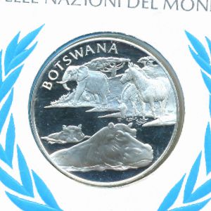 United Nations., Медаль