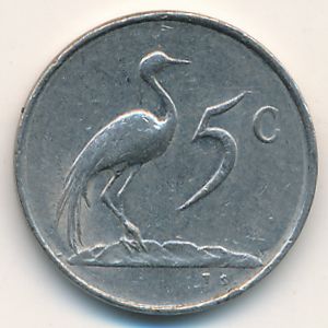South Africa, 5 cents, 1981