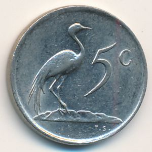 South Africa, 5 cents, 1984