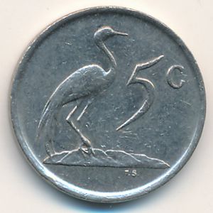 South Africa, 5 cents, 1985