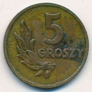 Польша, 5 грошей (1949 г.)