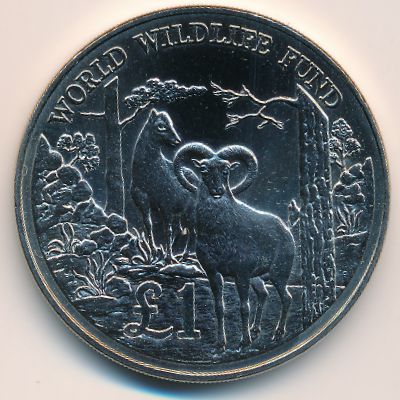 Cyprus, 1 pound, 1986