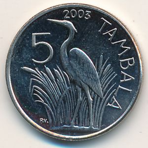Malawi, 5 tambala, 2003