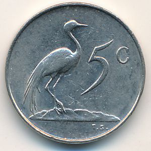 South Africa, 5 cents, 1981
