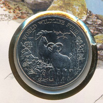 Кипр, 1 фунт (1986 г.)
