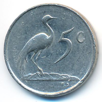 South Africa, 5 cents, 1981