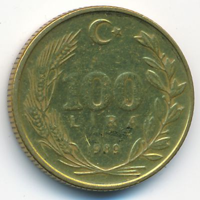 Турция, 100 лир (1989 г.)