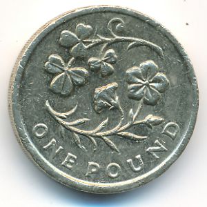 Великобритания, 1 фунт (2014 г.)