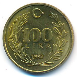 Турция, 100 лир (1993 г.)
