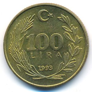 Турция, 100 лир (1993 г.)