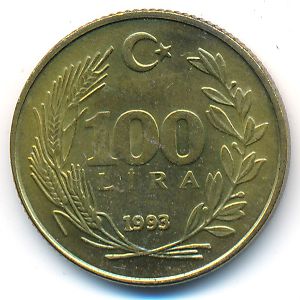 Турция, 100 лир (1993 г.)