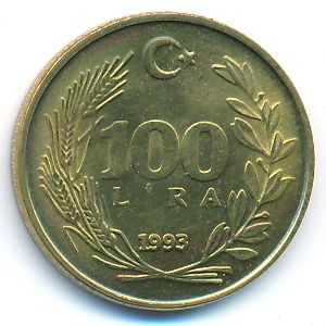 Турция, 100 лир (1993 г.)