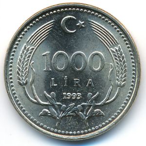 Turkey, 1000 lira, 1993