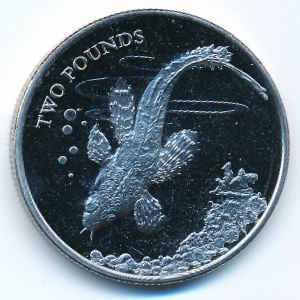 Британская Антарктика, 2 фунта (2021 г.)