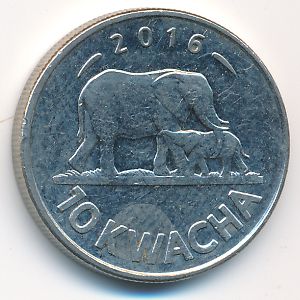 Малави, 10 квача (2016 г.)