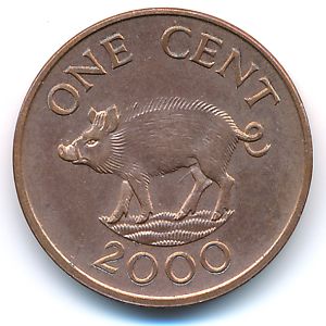 Бермудские острова, 1 цент (2000 г.)