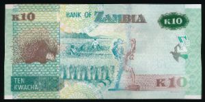 Замбия, 10 квача (2020 г.)