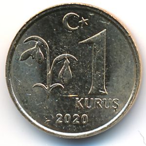 Турция, 1 куруш (2020 г.)