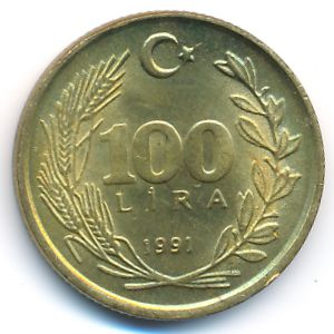 Турция, 100 лир (1991 г.)
