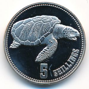 Сомалиленд, 5 шиллингов (2019 г.)