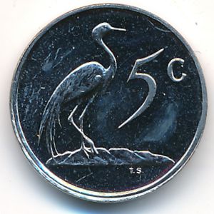 South Africa, 5 cents, 1985