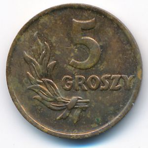 Poland, 5 groszy, 1949