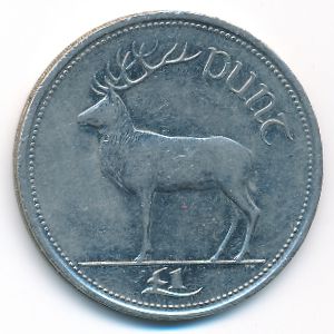 Ирландия, 1 фунт (1999 г.)
