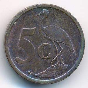 ЮАР, 5 центов (2008 г.)