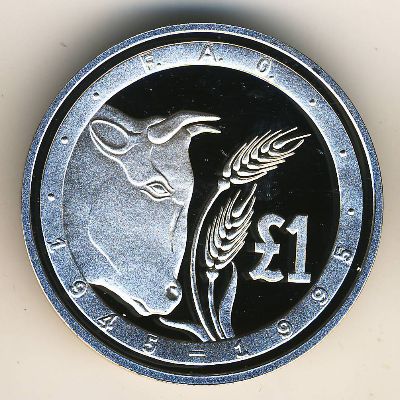 Cyprus, 1 pound, 1995