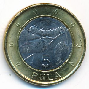 Ботсвана, 5 пул (2013 г.)