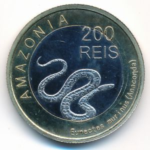 Амазония., 200 рейс (2012 г.)