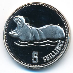 Сомалиленд, 5 шиллингов (2019 г.)