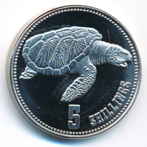 Сомалиленд, 5 шиллингов (2019 г.)