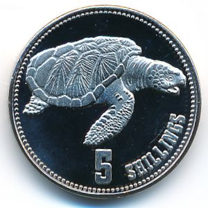 Сомалиленд, 5 шиллингов (2019 г.)