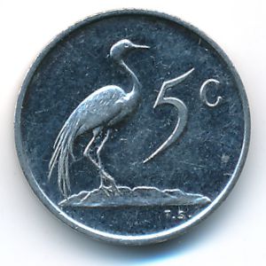 South Africa, 5 cents, 1981