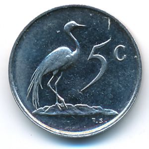 South Africa, 5 cents, 1981