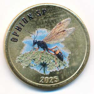 Chiloe., 2 фунта, 2025