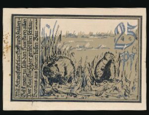 Нотгельды Германии, 25 пфеннигов (1921 г.)