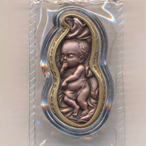 Самоа, 20 сене (2026 г.)