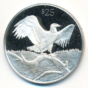Virgin Islands, 25 долларов, 1993