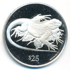 Virgin Islands, 25 долларов, 1993