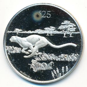 Virgin Islands, 25 долларов, 1993