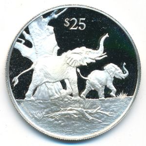 Virgin Islands, 25 долларов, 1993