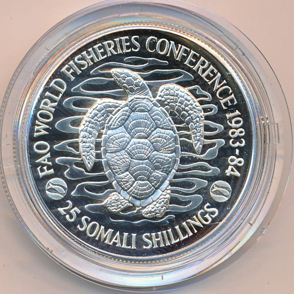 Сомали, 25 шиллингов (1984 г.)