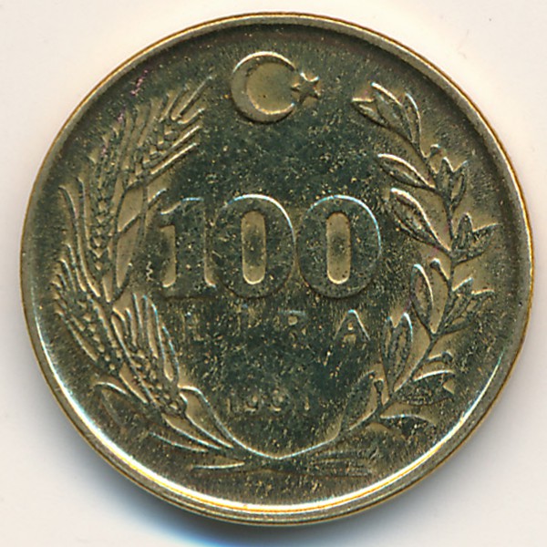 Турция, 100 лир (1990 г.)